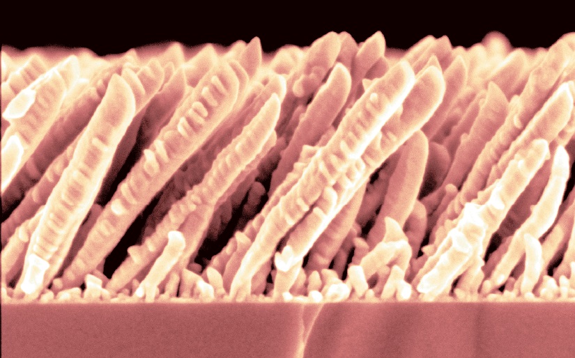 Columnar Films Image